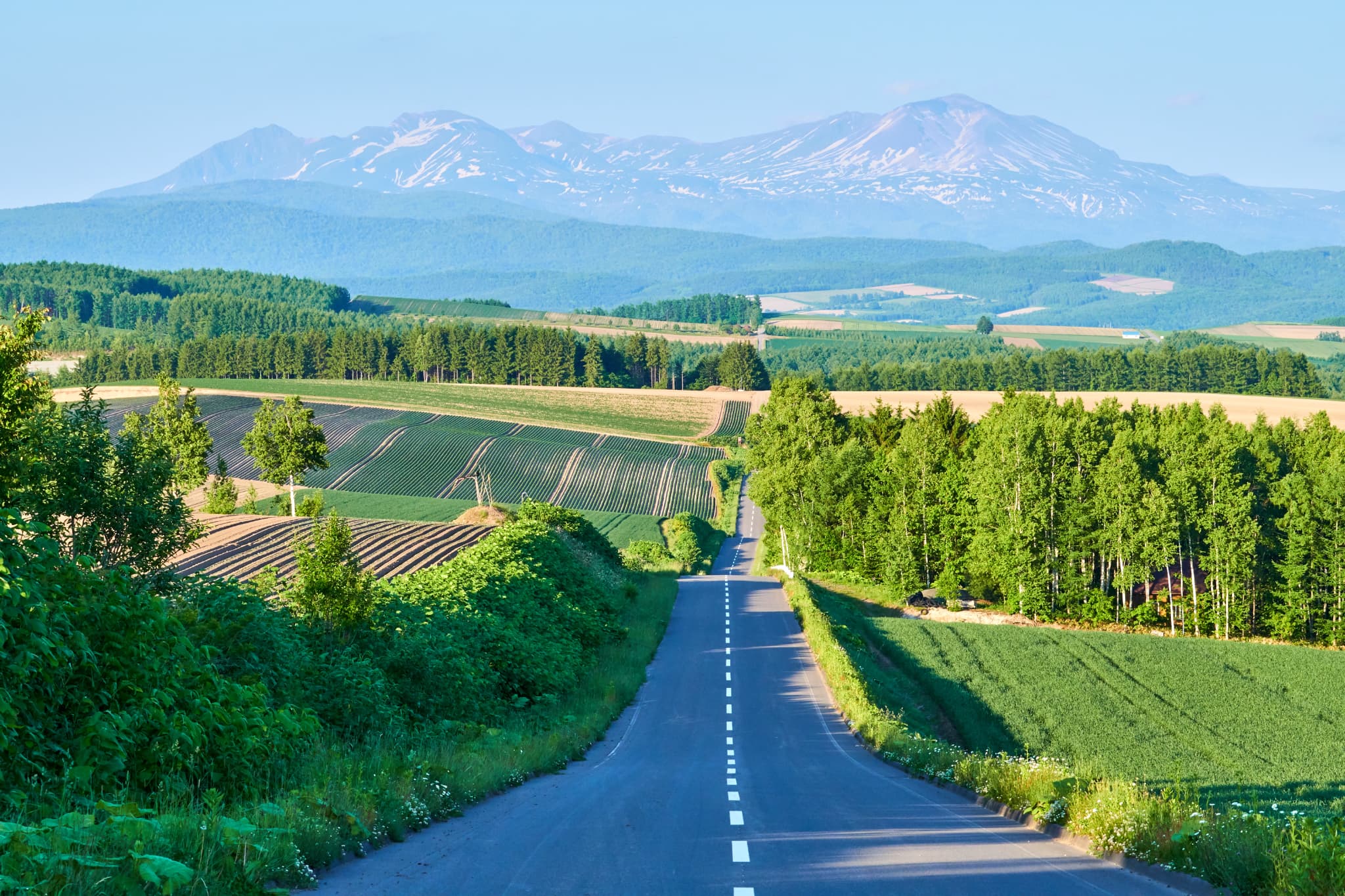 北海道の写真